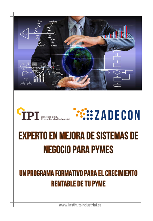 EXPERTO EN MEJORA DE SISTEMAS DE NEGOCIO PARA PYMES